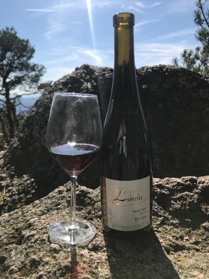 Gite - Chez Josephine Dambach Zewnętrze zdjęcie